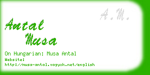 antal musa business card